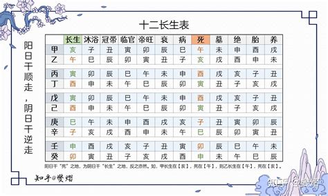 12長生表|八字十二長生解讀——胎、養